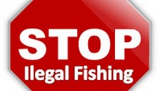 Ilegal Fishing