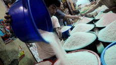 Ilustrasi Beras Petani