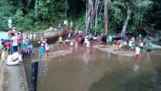 AMAN Ajak Masyarakat Jaga Hutan, Masyarakat Gotong Royong Bersihkan Sungai