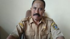 Kabid Peternakan Distanbun Sintang, Wiryono