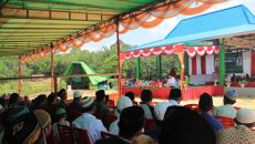 WhatsApp Image 2019-11-18 at 04.06.33